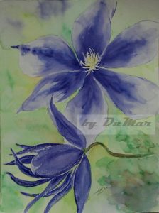 Clematis