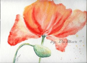 Mohn_6