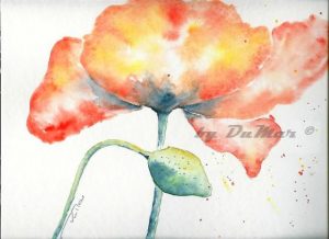 Mohn 4