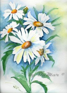 Margueriten