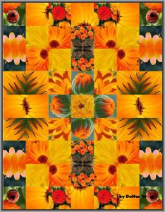 Ringelblumen